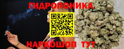 шишки Беслан