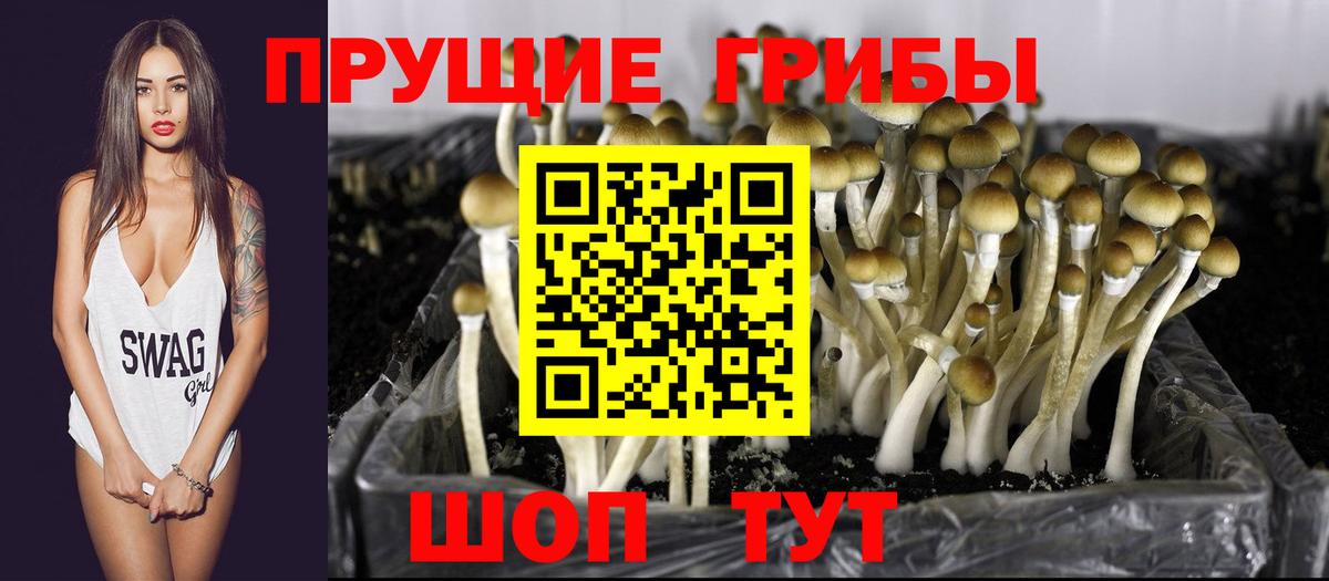 Псилоцибиновые грибы ЛСД Звенигород